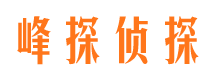 民丰找人公司